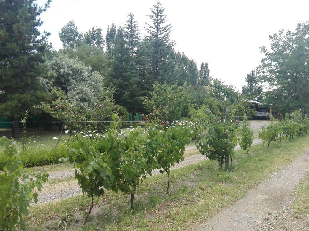 Casa Rural Entre Bodegas Y Vinedos ' El Jarillal" La Consulta Esterno foto